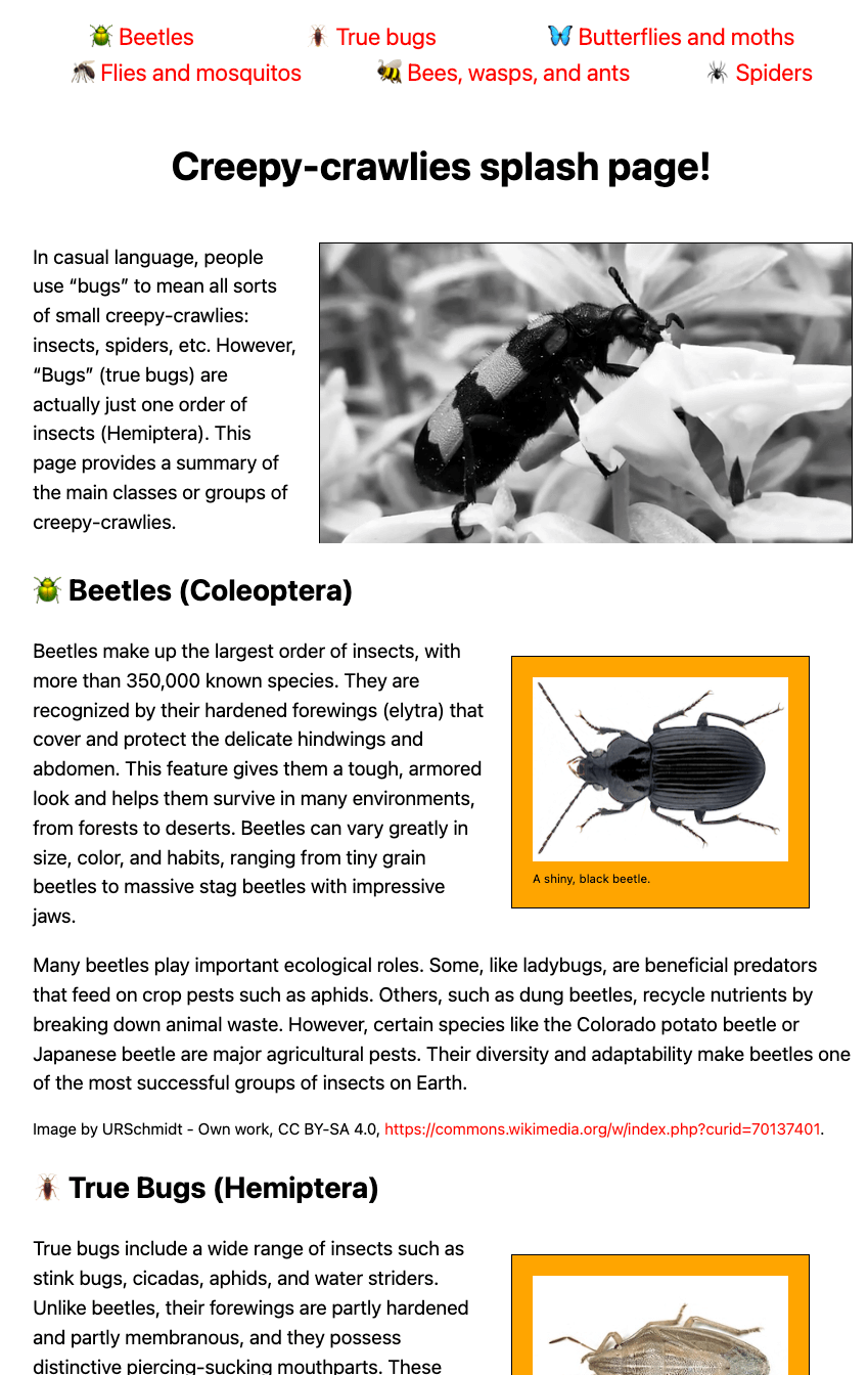 Unser Beispiel für eine Startseite