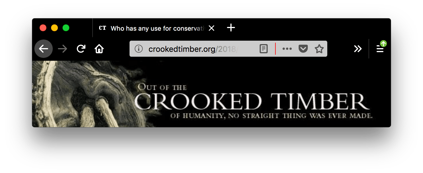Ein Screenshot eines Browserfensters mit einem geöffneten Tab. Der Browser Firefox ist schwarz. Die Tabs und die URL-Leiste des Browsers sind schwarz mit Text und Symbolen in Weiß. Innerhalb des weißen URL-Leiste-Feldes, nach dem Reader-Mode-Symbol, eine rote vertikale Linie, die den Rest der URL-Leiste-Symbole trennt. Die Farbe der vertikalen Trennlinie innerhalb der URL-Leiste ist rot.